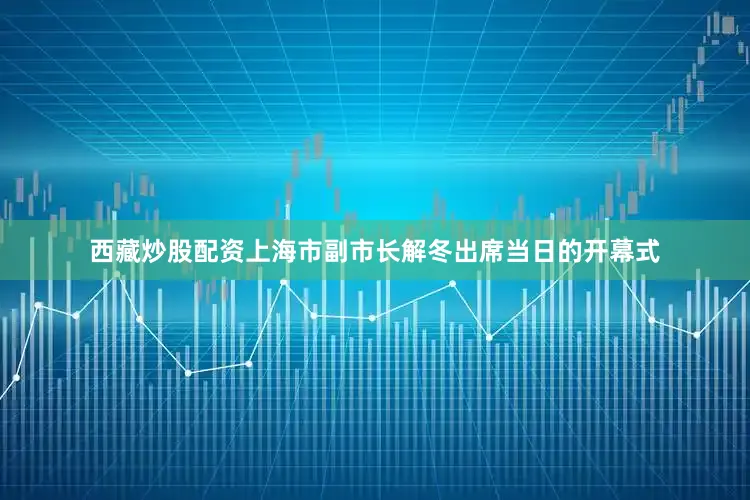 西藏炒股配资上海市副市长解冬出席当日的开幕式